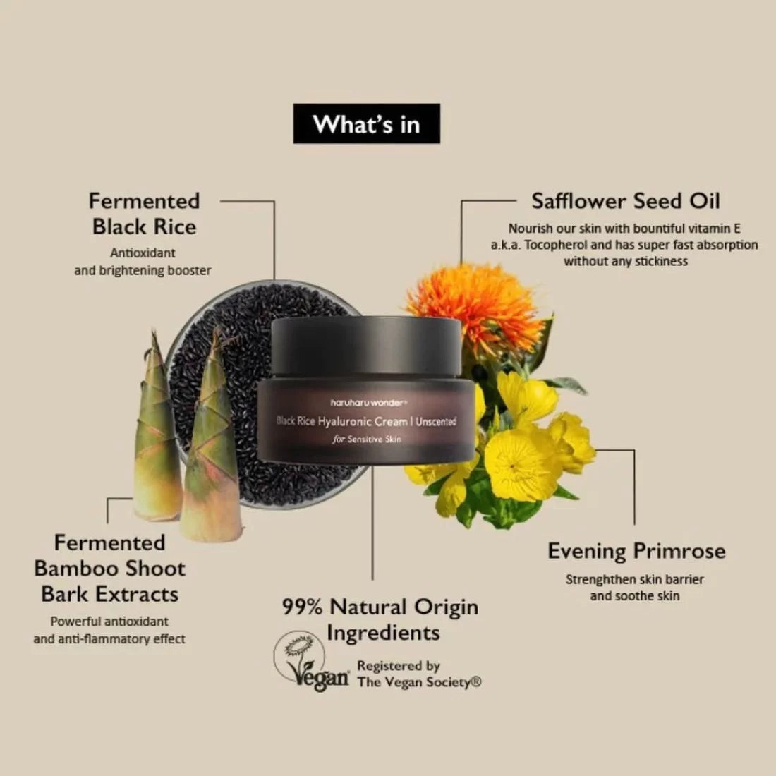 Haruharu - Black Rice Hyaluronic Cream Unscented 50ml